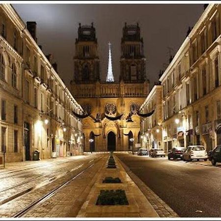 Duplex De Charme Orleans Hypercentre Cathedrale-Parking Possible Apartment Luaran gambar