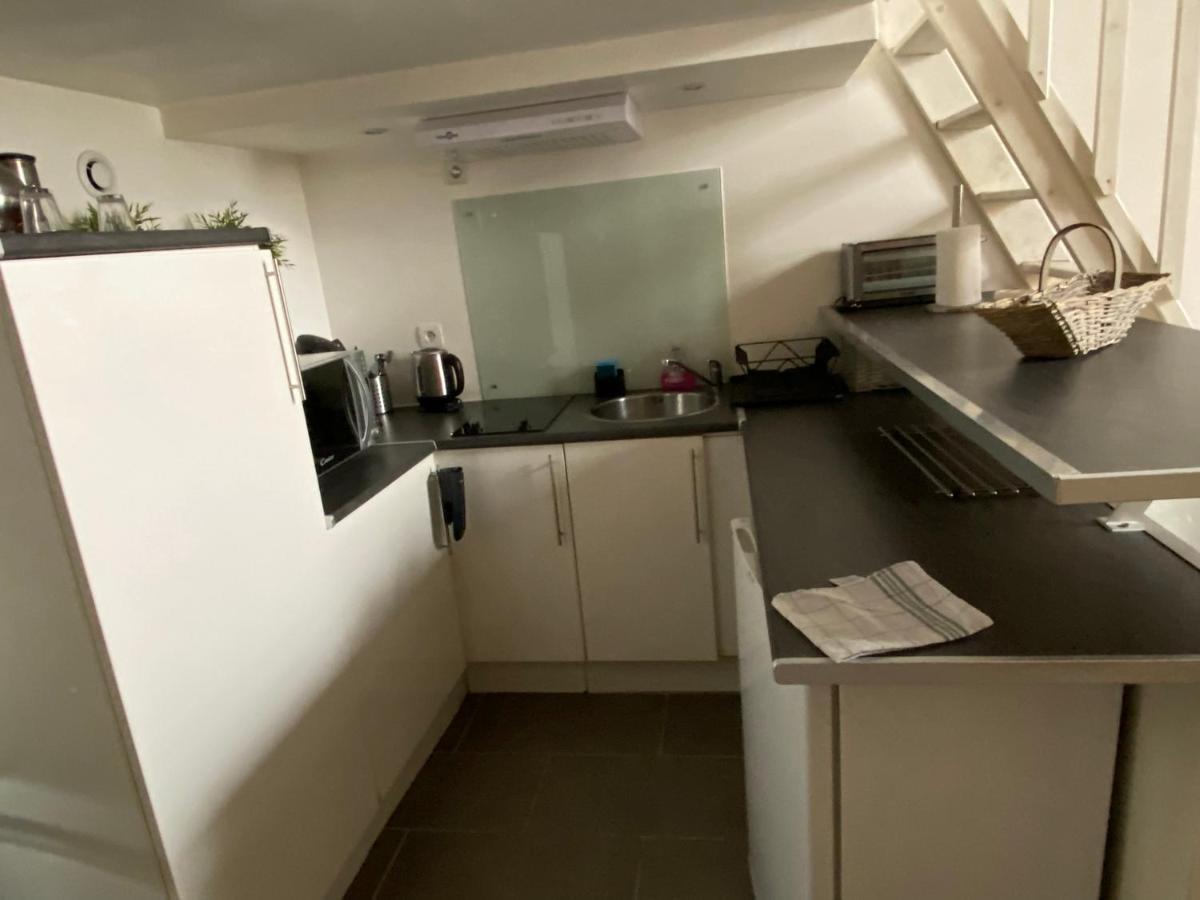 Duplex De Charme Orleans Hypercentre Cathedrale-Parking Possible Apartment Luaran gambar