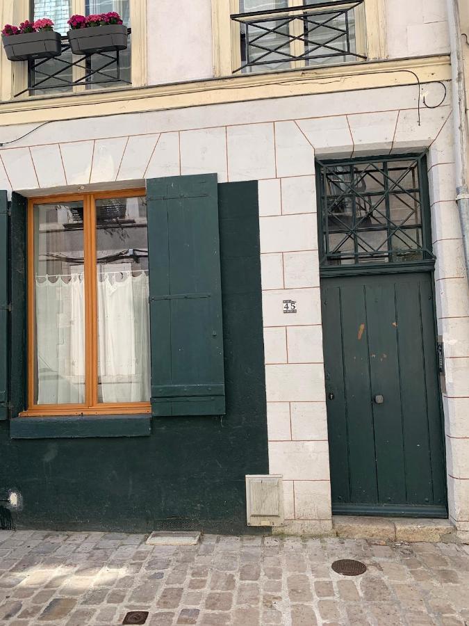 Duplex De Charme Orleans Hypercentre Cathedrale-Parking Possible Apartment Luaran gambar